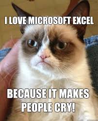 Grumpy Cat and Excel
